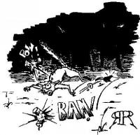 Illustration - Exploding cat